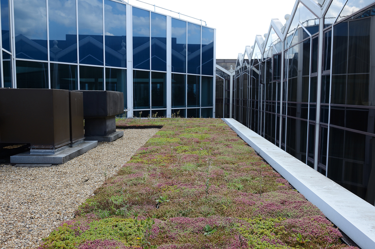 The appliance of science delivers modular green roof success